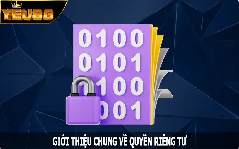 Giới thiệu chung về quyền riêng tư tại nhà cái