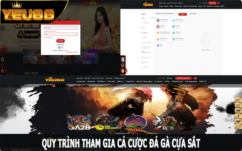 Quy trình tham gia cá cược đá gà cựa sắt tại Yeu88