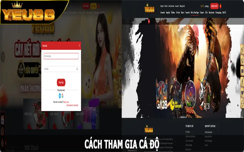 Cách tham gia cá độ tại nhà cái Yeu88