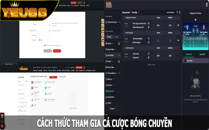 Cách thức tham gia cá cược bóng chuyền đơn giản nhất