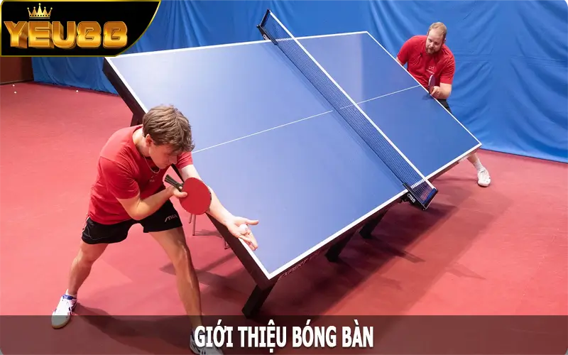 Giới thiệu bóng bàn Yeu88