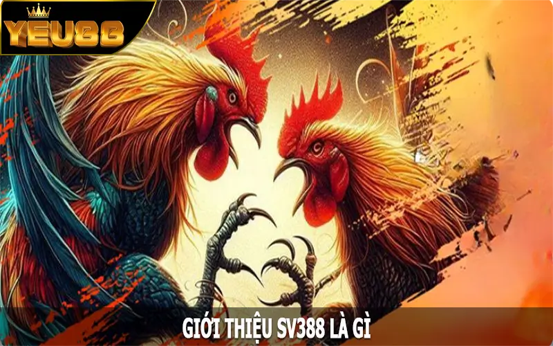 Giới thiệu SV388 là gì