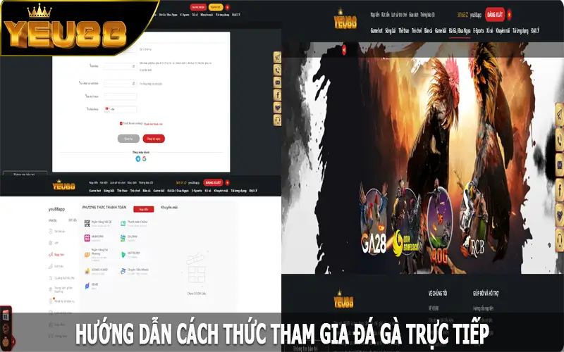 Hướng dẫn cách thức tham gia đá gà trực tiếp Yeu88 dễ dàng