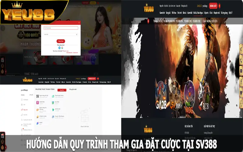 Hướng dẫn quy trình tham gia đặt cược tại SV388