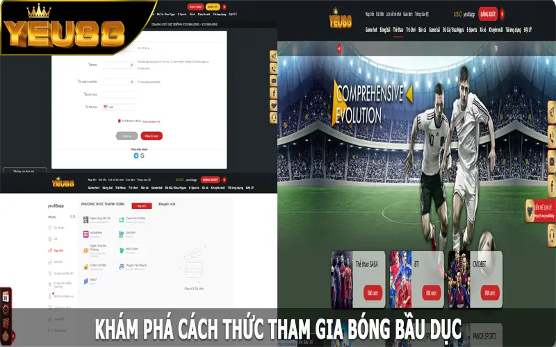 Khám phá cách thức tham gia bóng bầu dục