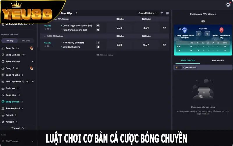 Luật chơi cơ bản cá cược bóng chuyền cần nắm