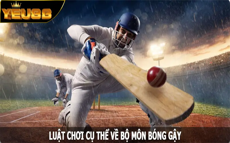 Luật chơi cụ thể về bộ môn bóng gậy cho hội viên