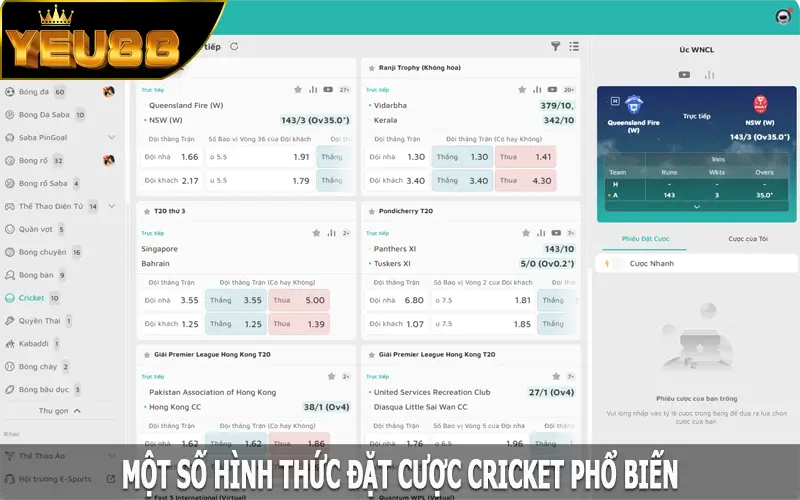 Một số hình thức đặt cược cricket phổ biến tại Yeu88