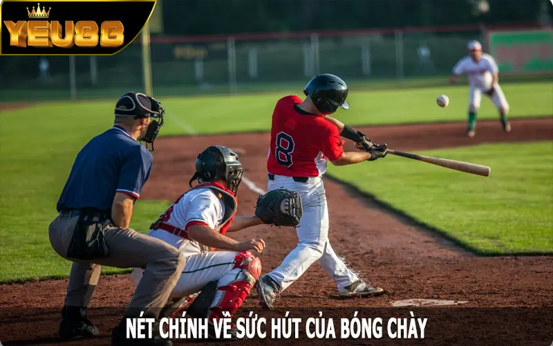 Nét chính về sức hút của bóng chày tại Yeu88