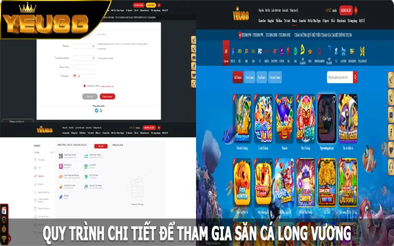 Quy trình chi tiết để tham gia săn cá Long Vương