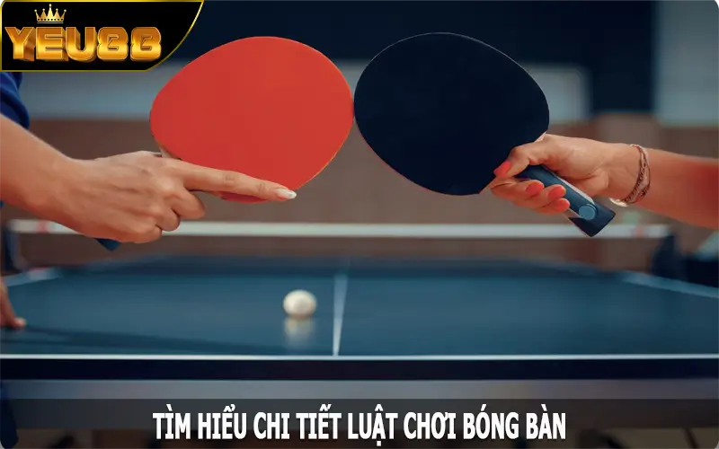 Tìm hiểu chi tiết luật chơi bóng bàn