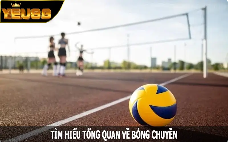 Tìm hiểu tổng quan về bóng chuyền tại địa chỉ Yeu88